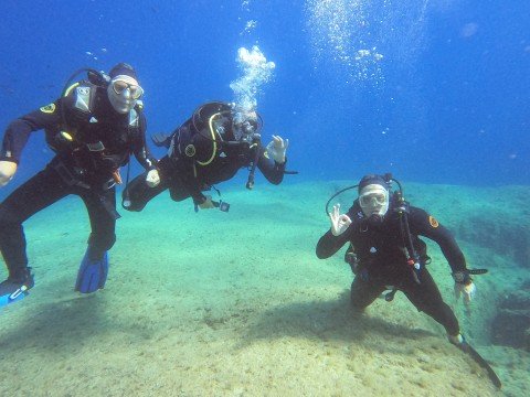 Fly & Dive ! 2024